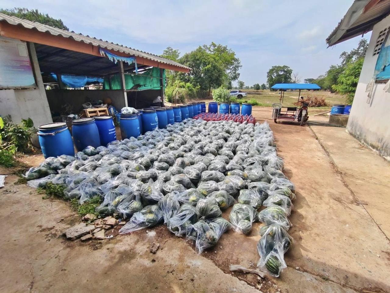 ภาพประกอบที่ 14