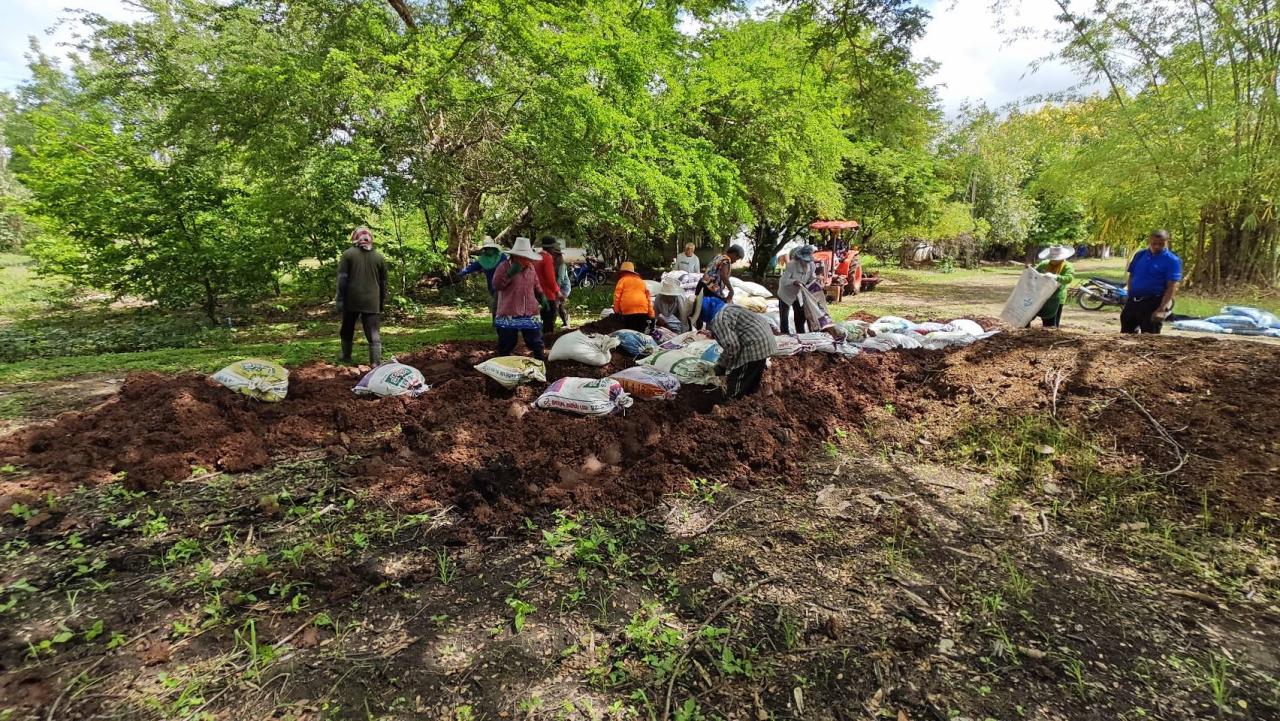 ภาพประกอบที่ 2