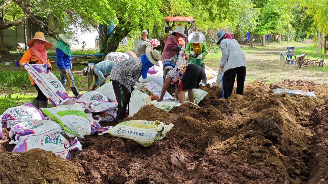 ภาพประกอบที่ 3