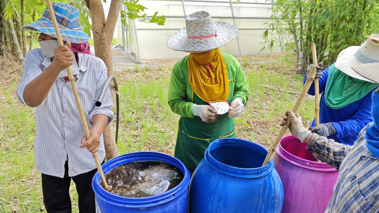 ภาพประกอบที่ 4