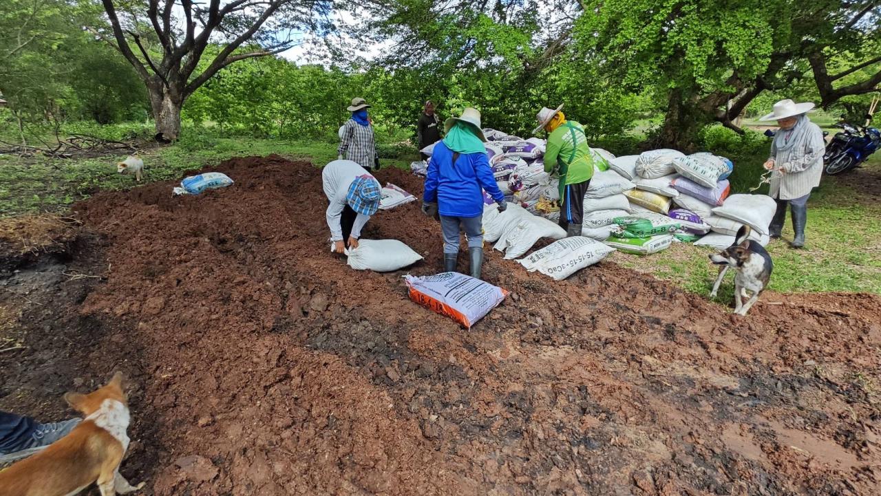 ภาพประกอบที่ 6