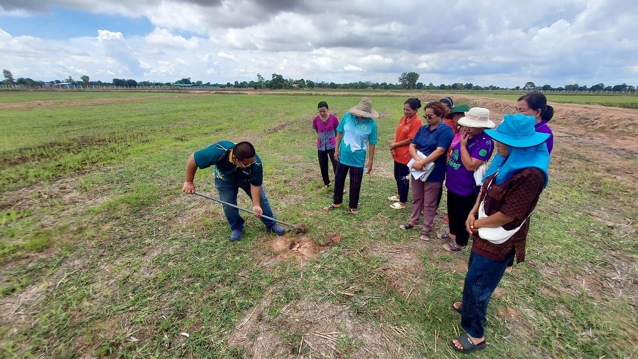 ภาพประกอบที่ 13
