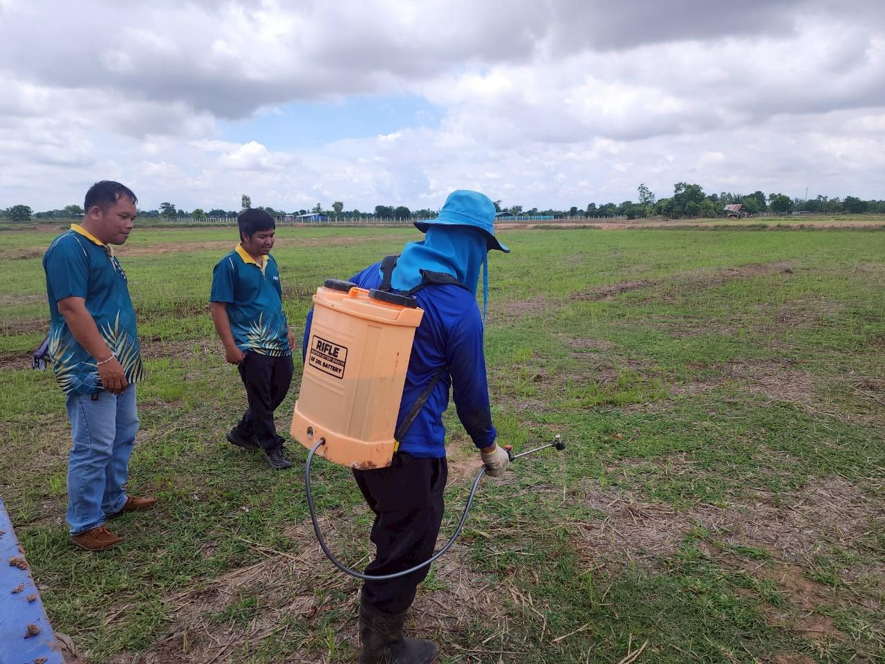 ภาพประกอบที่ 15