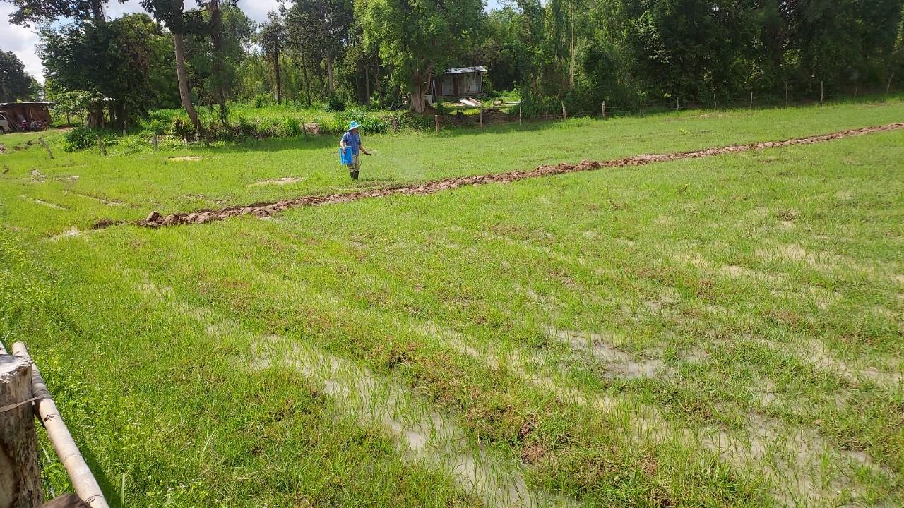 ภาพประกอบที่ 20