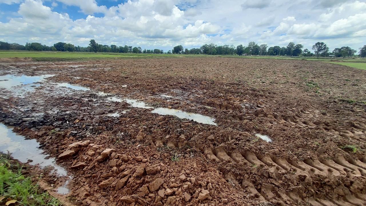 ภาพประกอบที่ 21