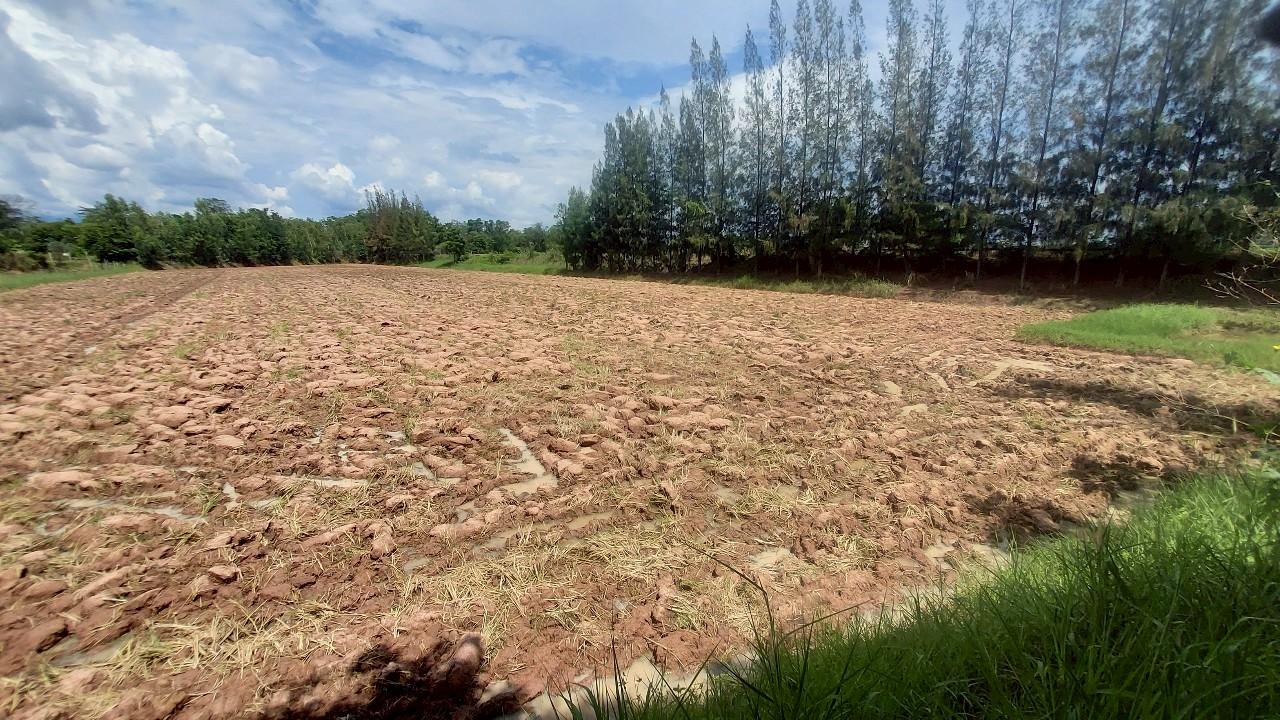 ภาพประกอบที่ 23