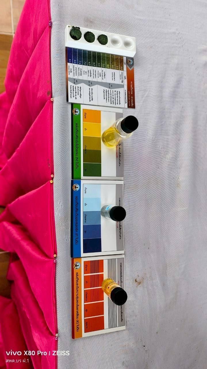 ภาพประกอบที่ 10