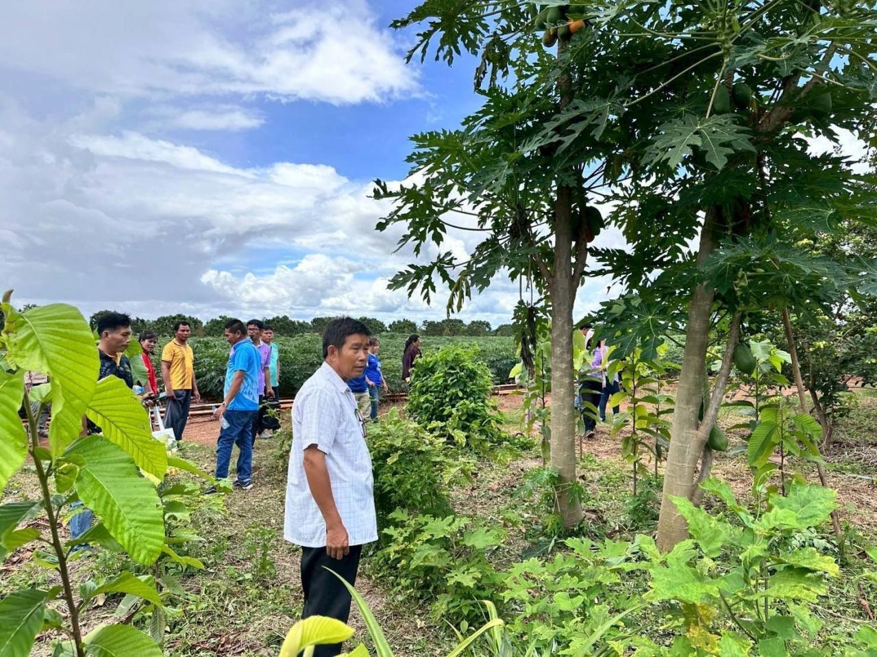 ภาพประกอบที่ 3