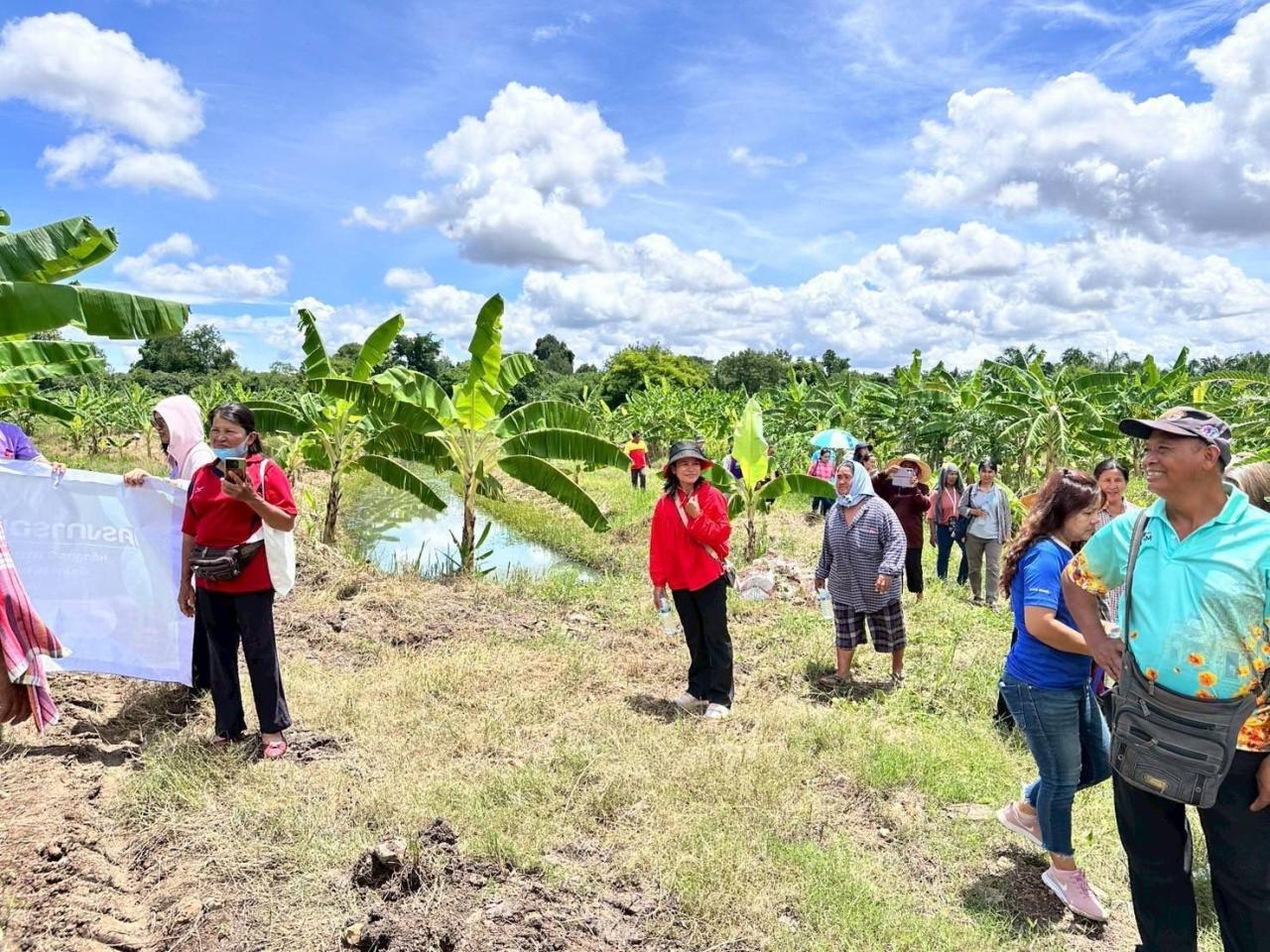 ภาพประกอบที่ 4
