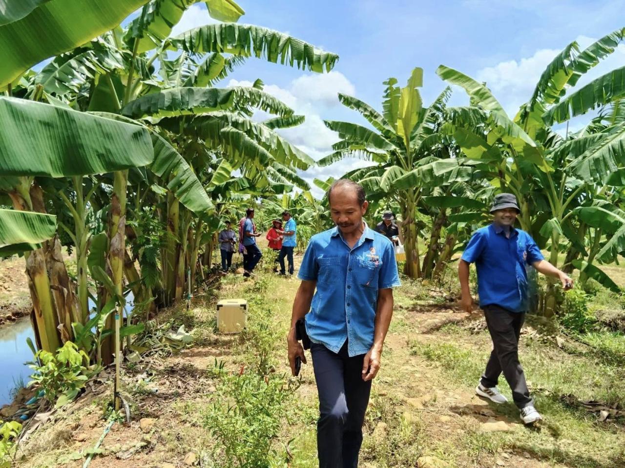 ภาพประกอบที่ 6