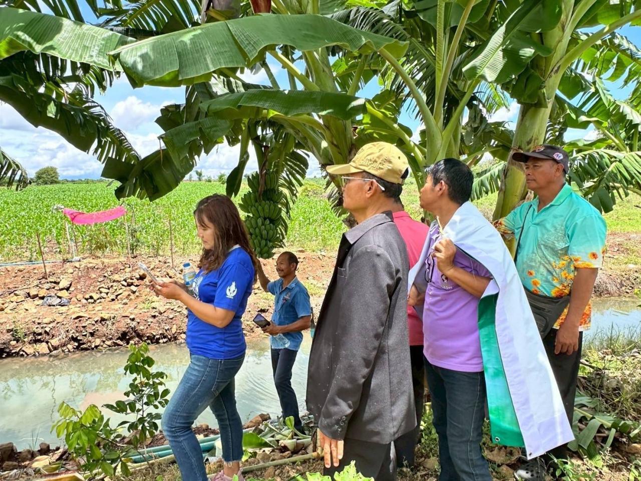 ภาพประกอบที่ 7