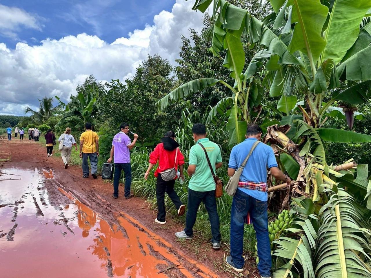 ภาพประกอบที่ 8