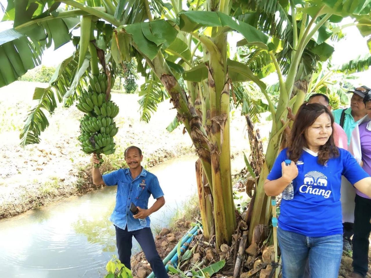 ภาพประกอบที่ 9