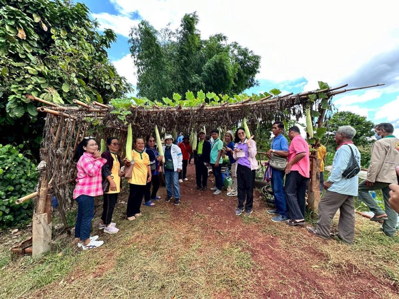 ภาพประกอบที่ 12