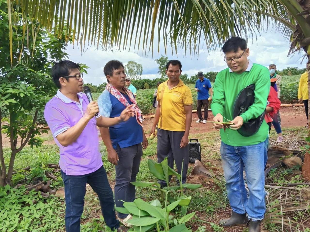 ภาพประกอบที่ 15
