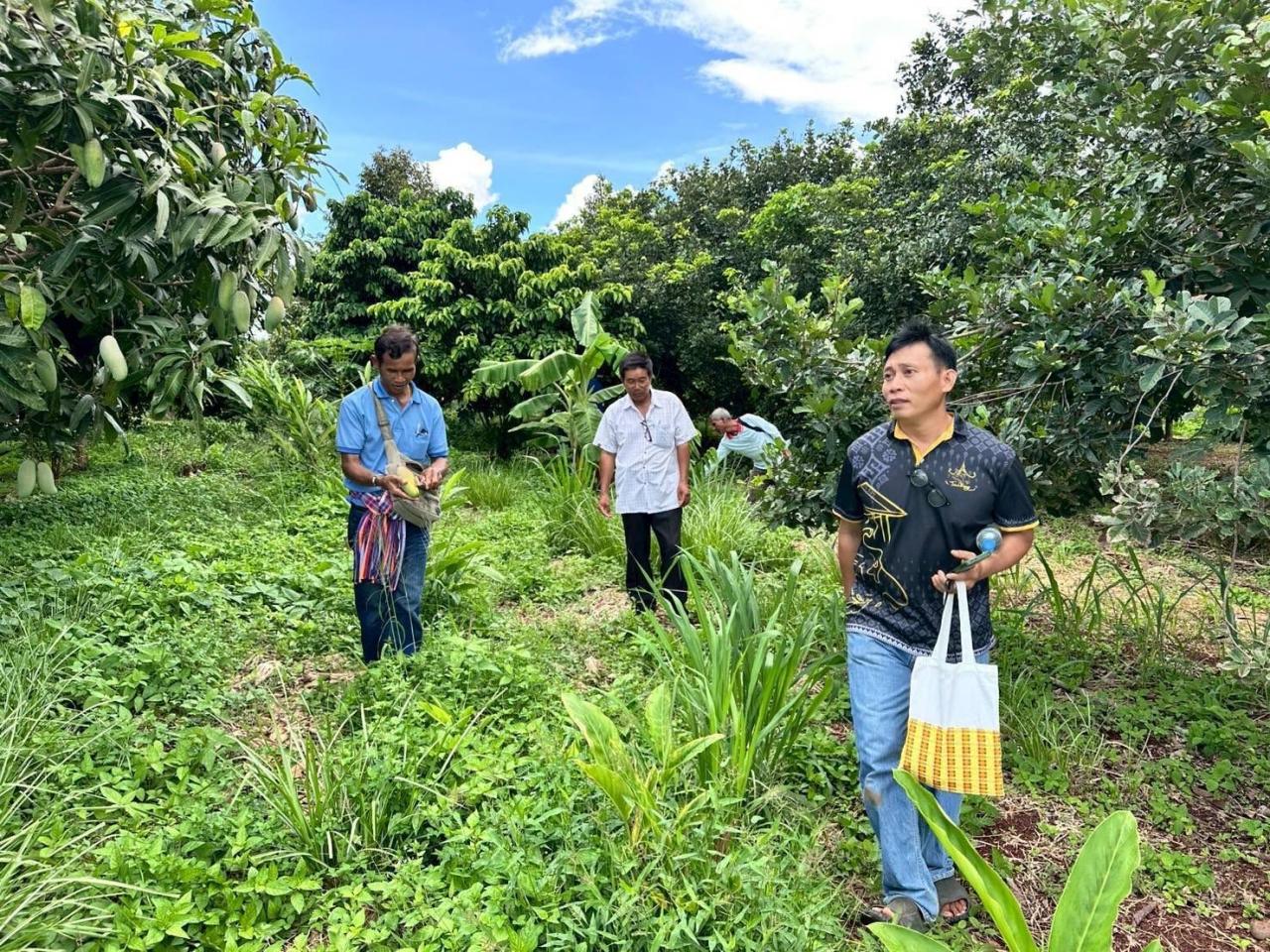 ภาพประกอบที่ 20