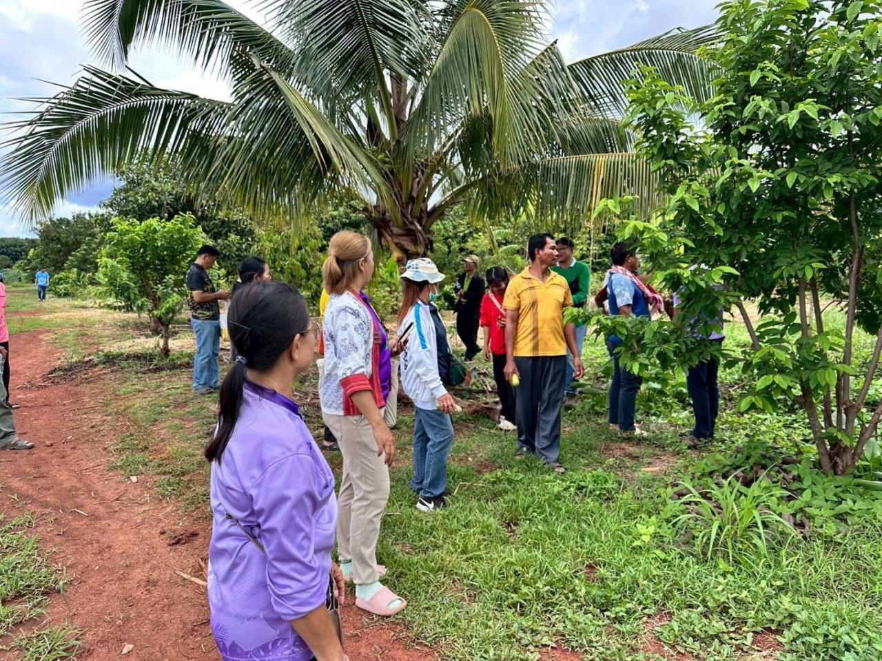 ภาพประกอบที่ 22