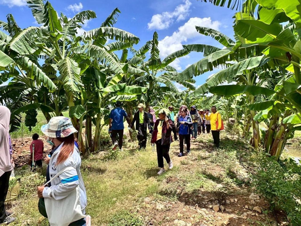 ภาพประกอบที่ 23