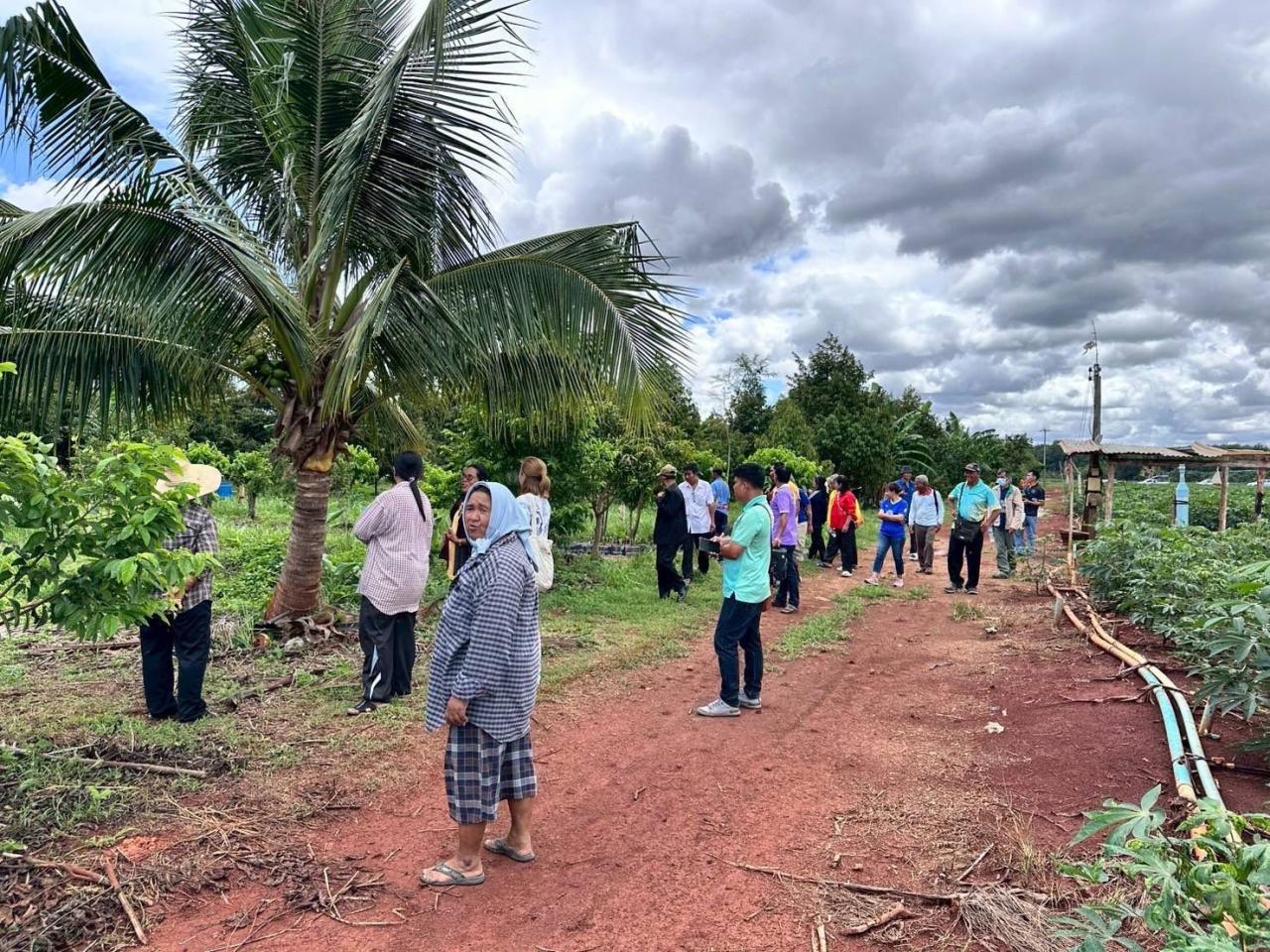 ภาพประกอบที่ 25