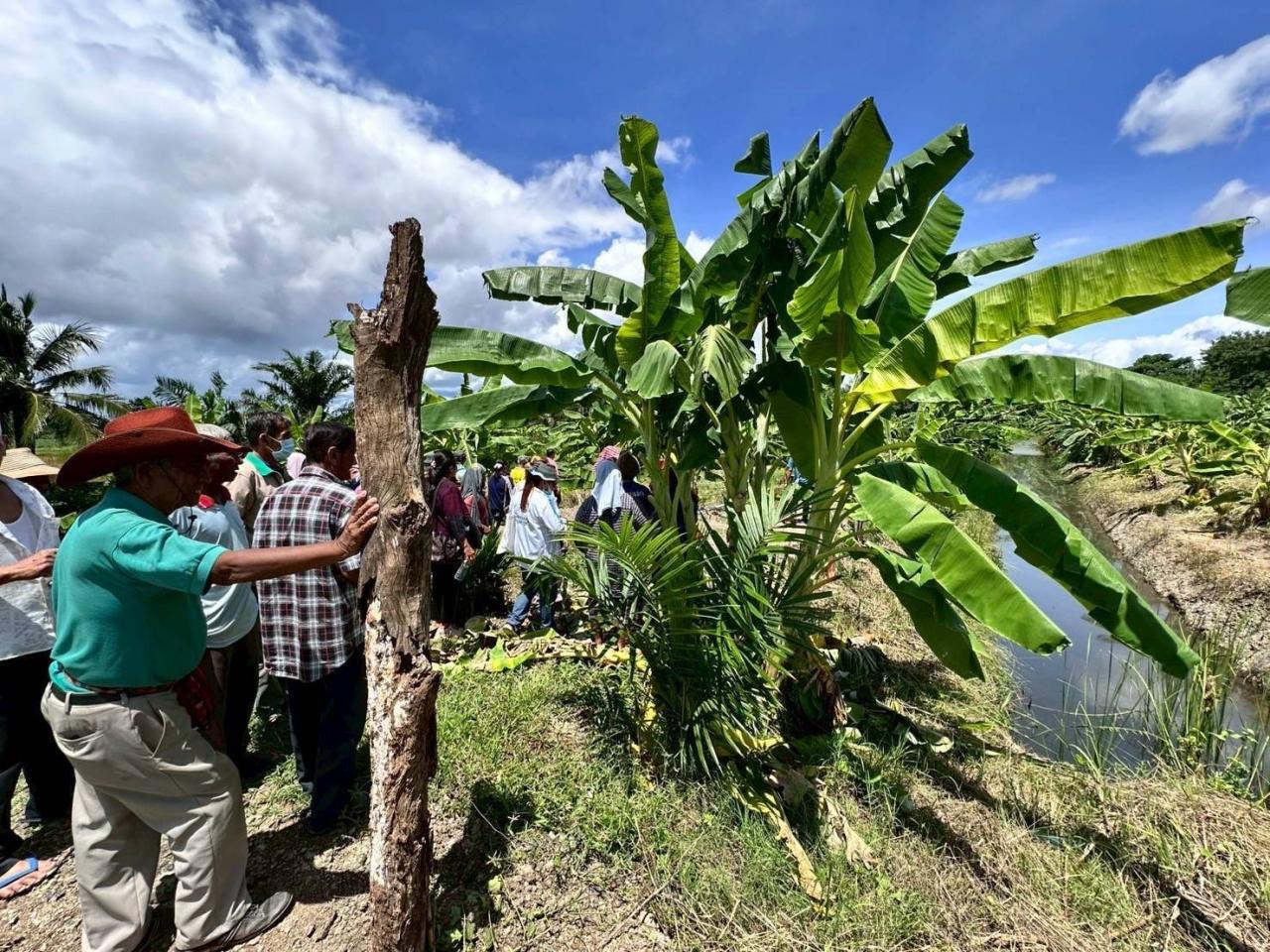 ภาพประกอบที่ 26