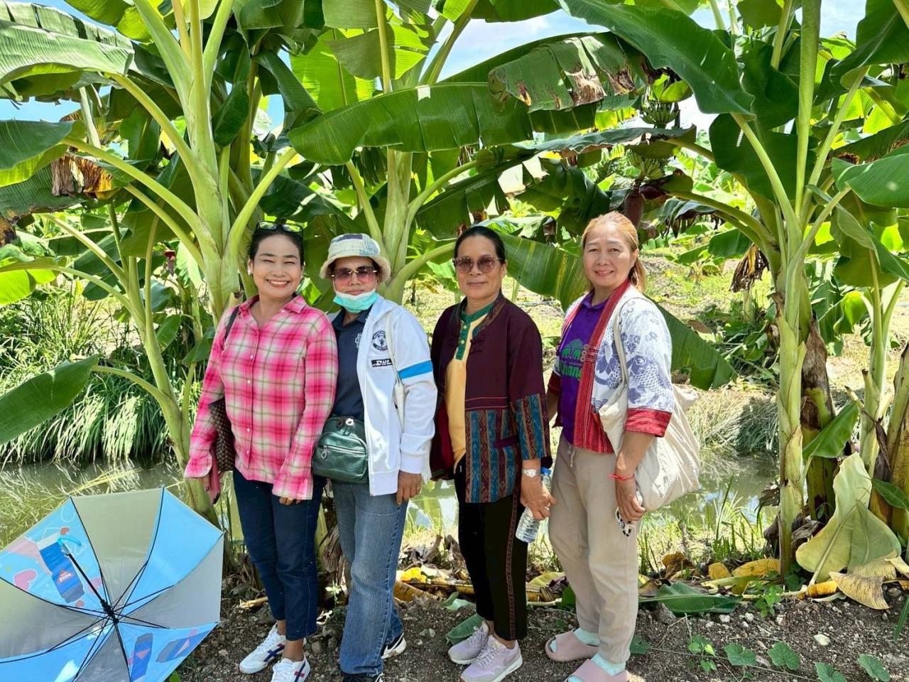 ภาพประกอบที่ 27