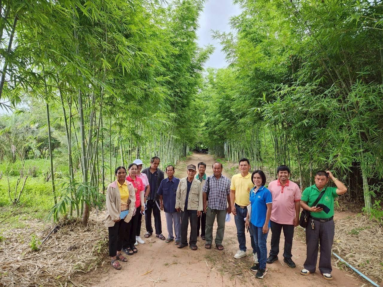 ภาพประกอบที่ 6