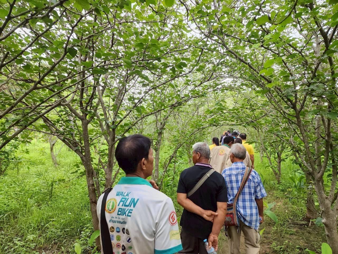 ภาพประกอบที่ 7