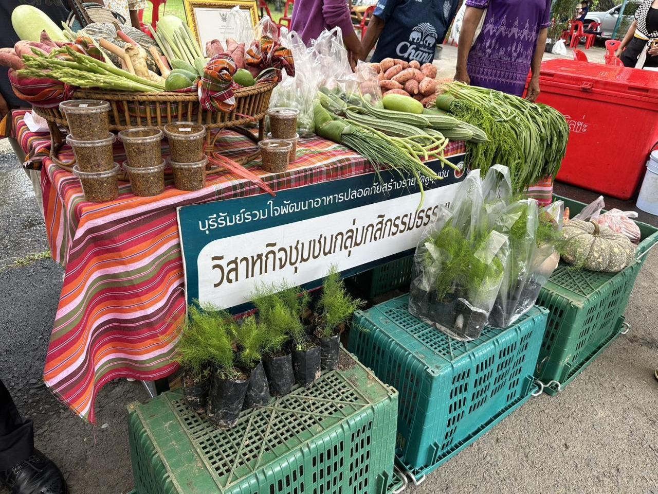 ภาพประกอบที่ 3