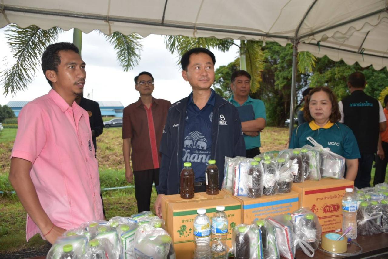 ภาพประกอบที่ 5