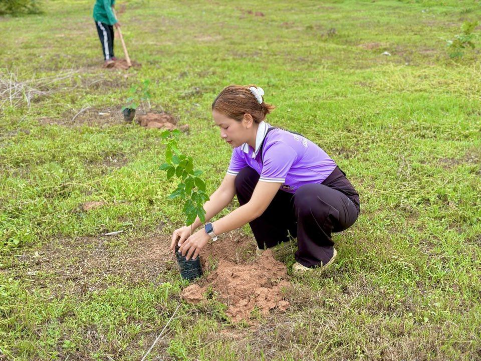 ภาพประกอบที่ 3