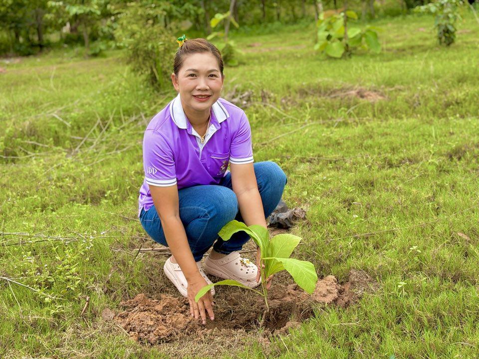 ภาพประกอบที่ 9