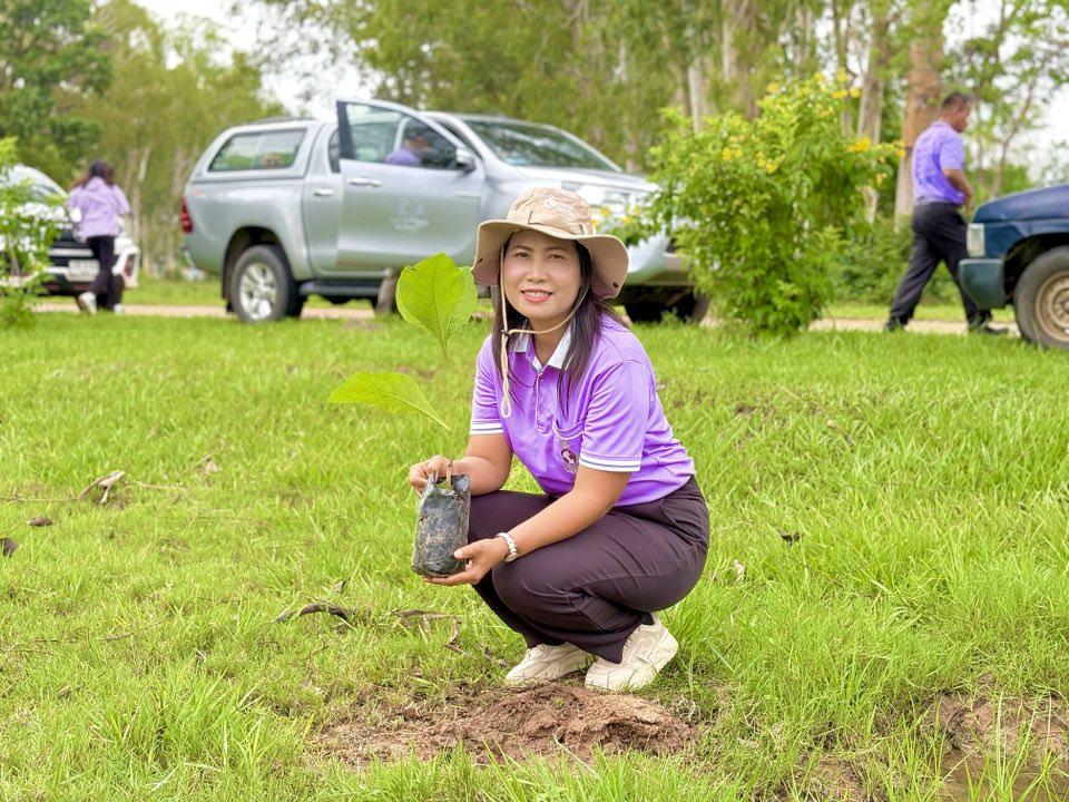 ภาพประกอบที่ 11