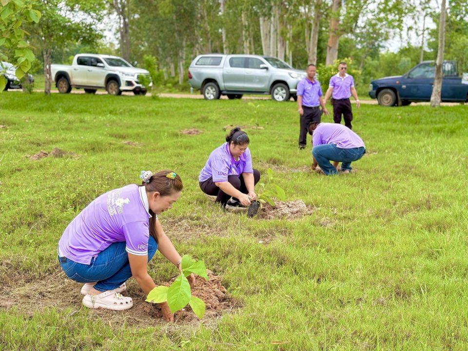 ภาพประกอบที่ 12