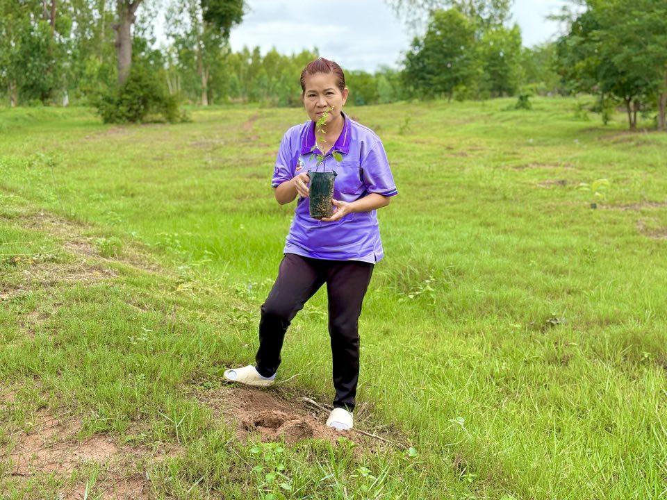 ภาพประกอบที่ 13