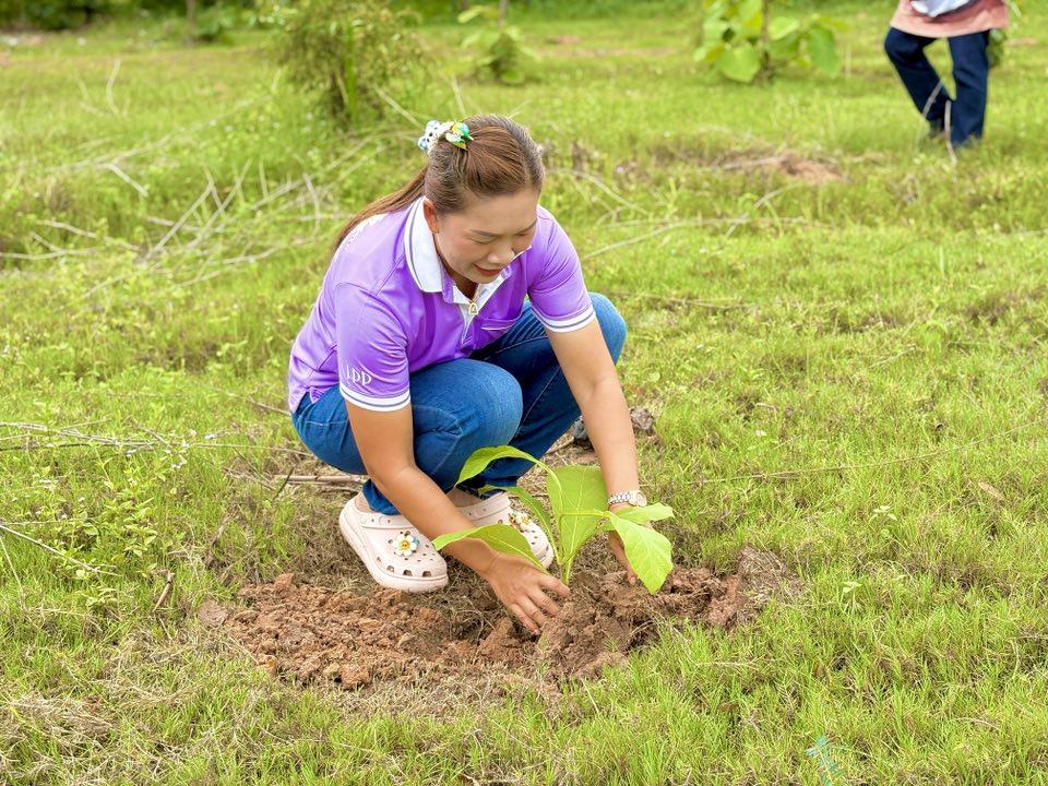 ภาพประกอบที่ 18