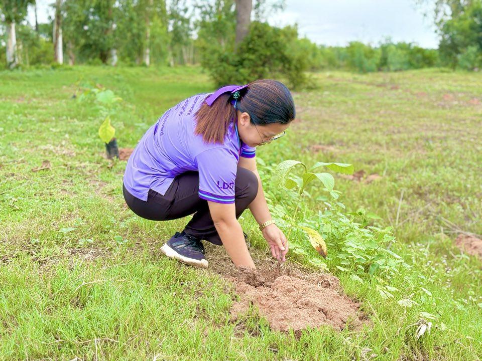 ภาพประกอบที่ 19
