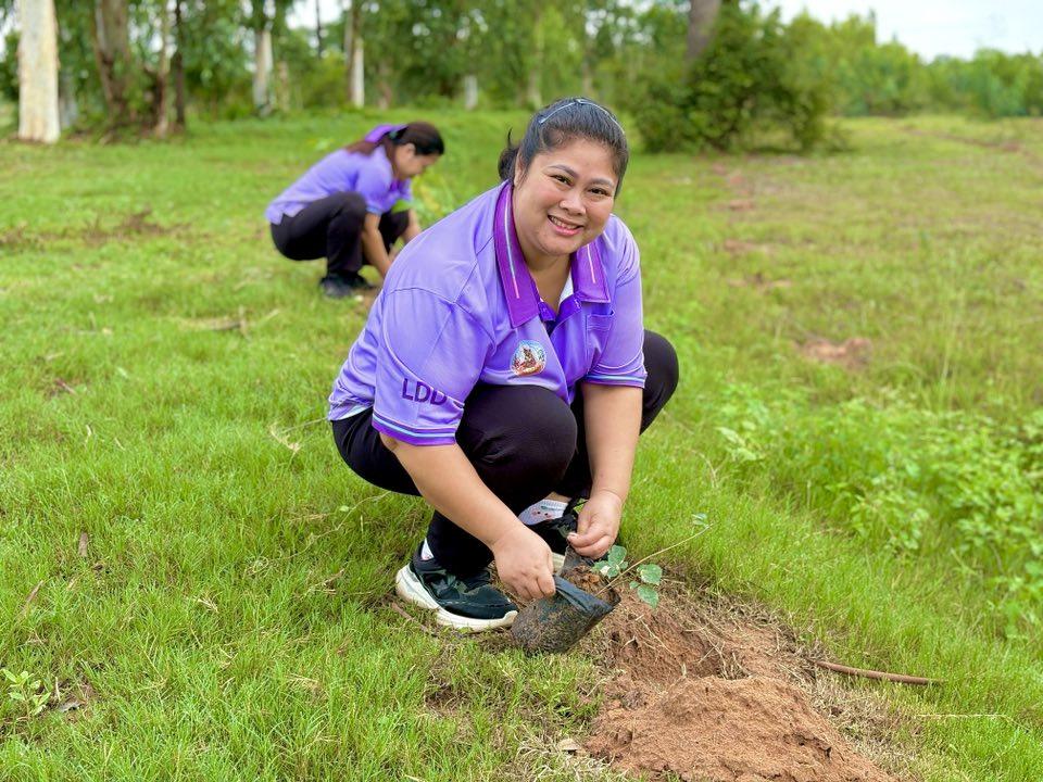 ภาพประกอบที่ 21