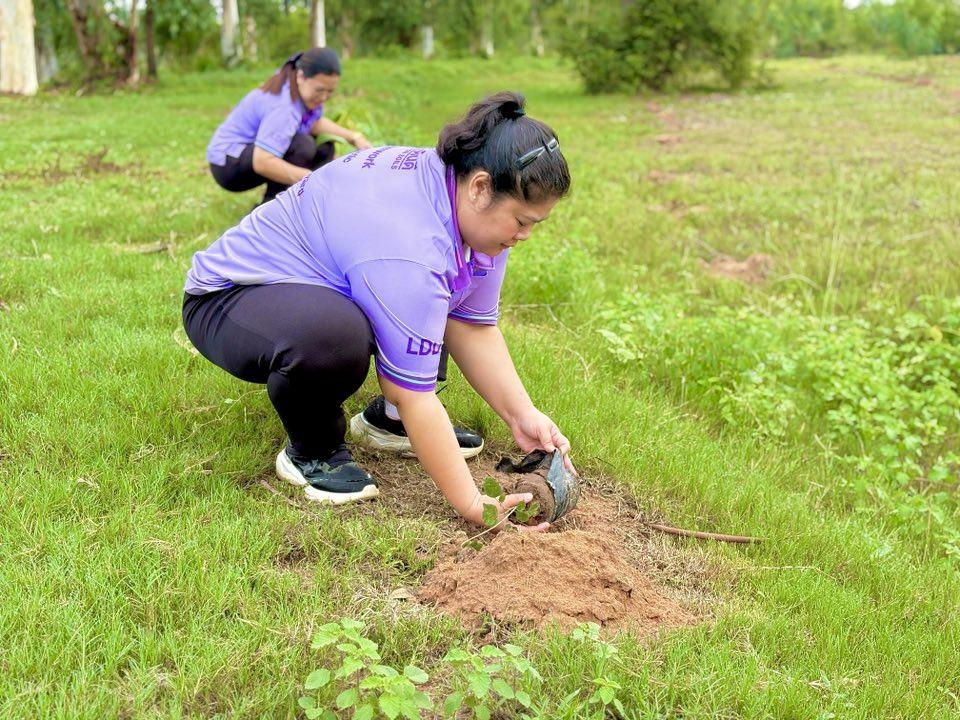 ภาพประกอบที่ 29