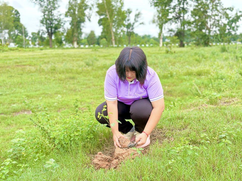 ภาพประกอบที่ 31