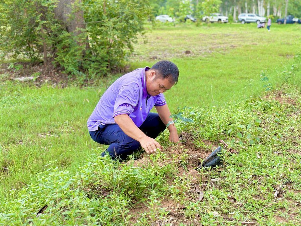 ภาพประกอบที่ 33