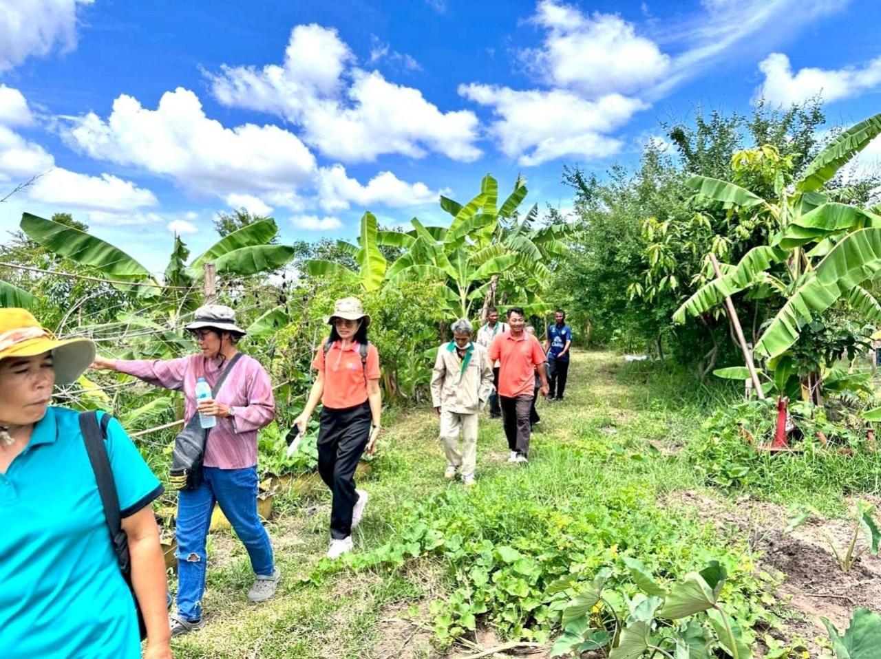ภาพประกอบที่ 2