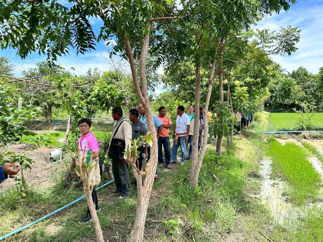 ภาพประกอบที่ 4