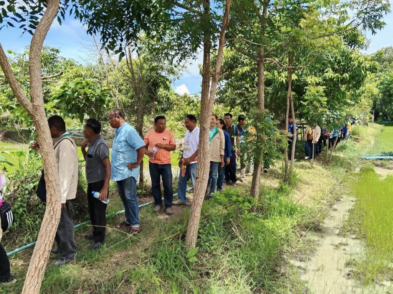 ภาพประกอบที่ 5