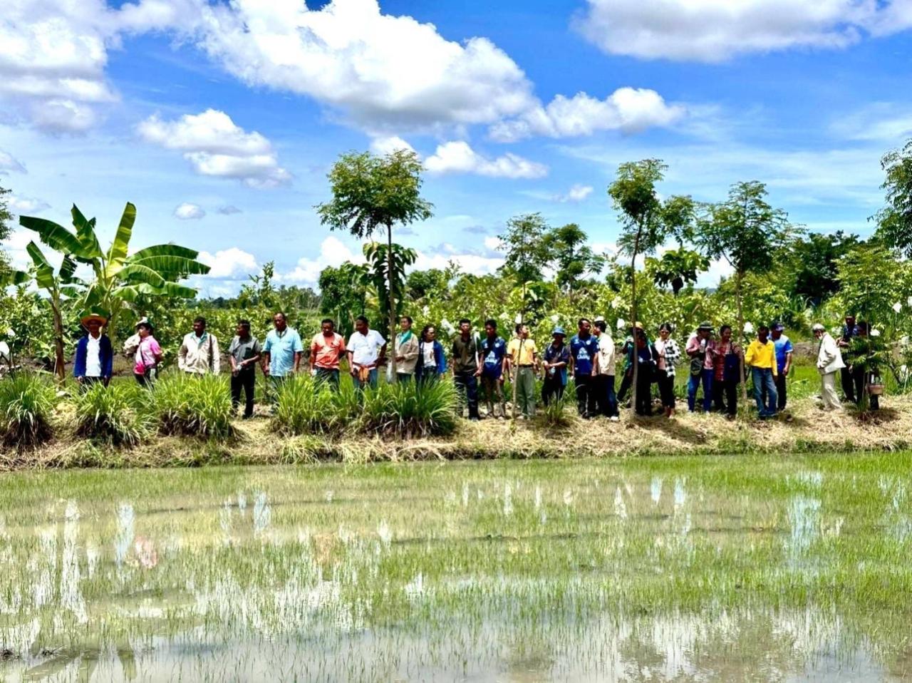 ภาพประกอบที่ 9