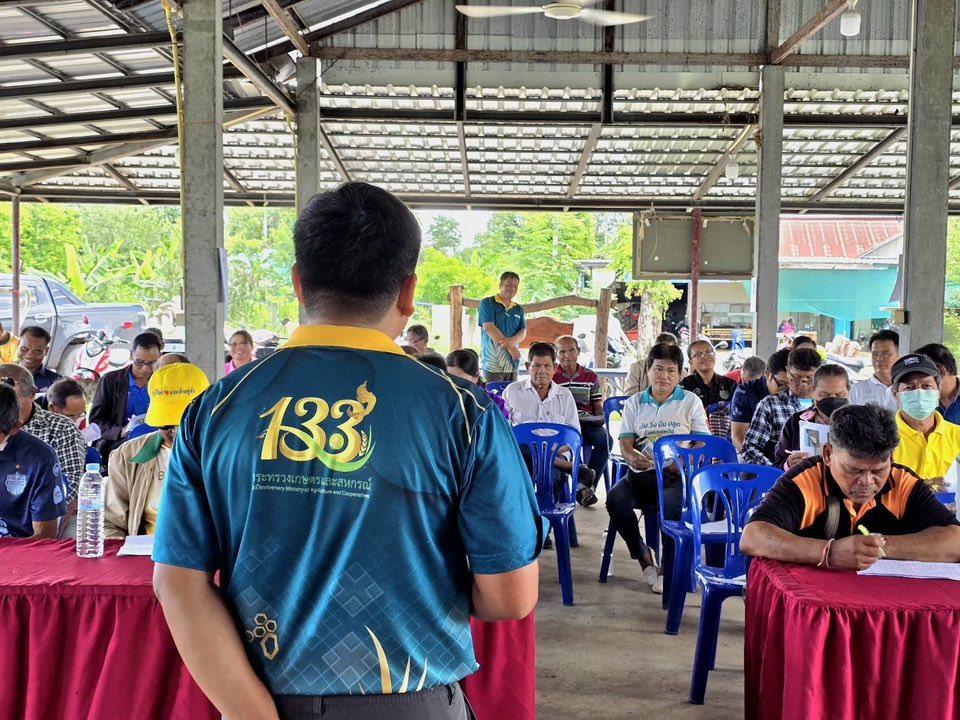 ภาพประกอบที่ 11