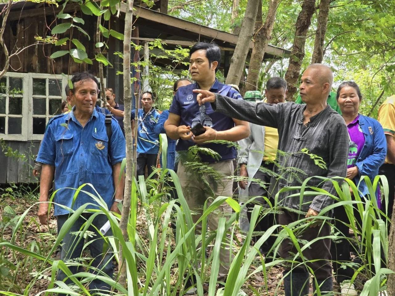 ภาพประกอบที่ 17