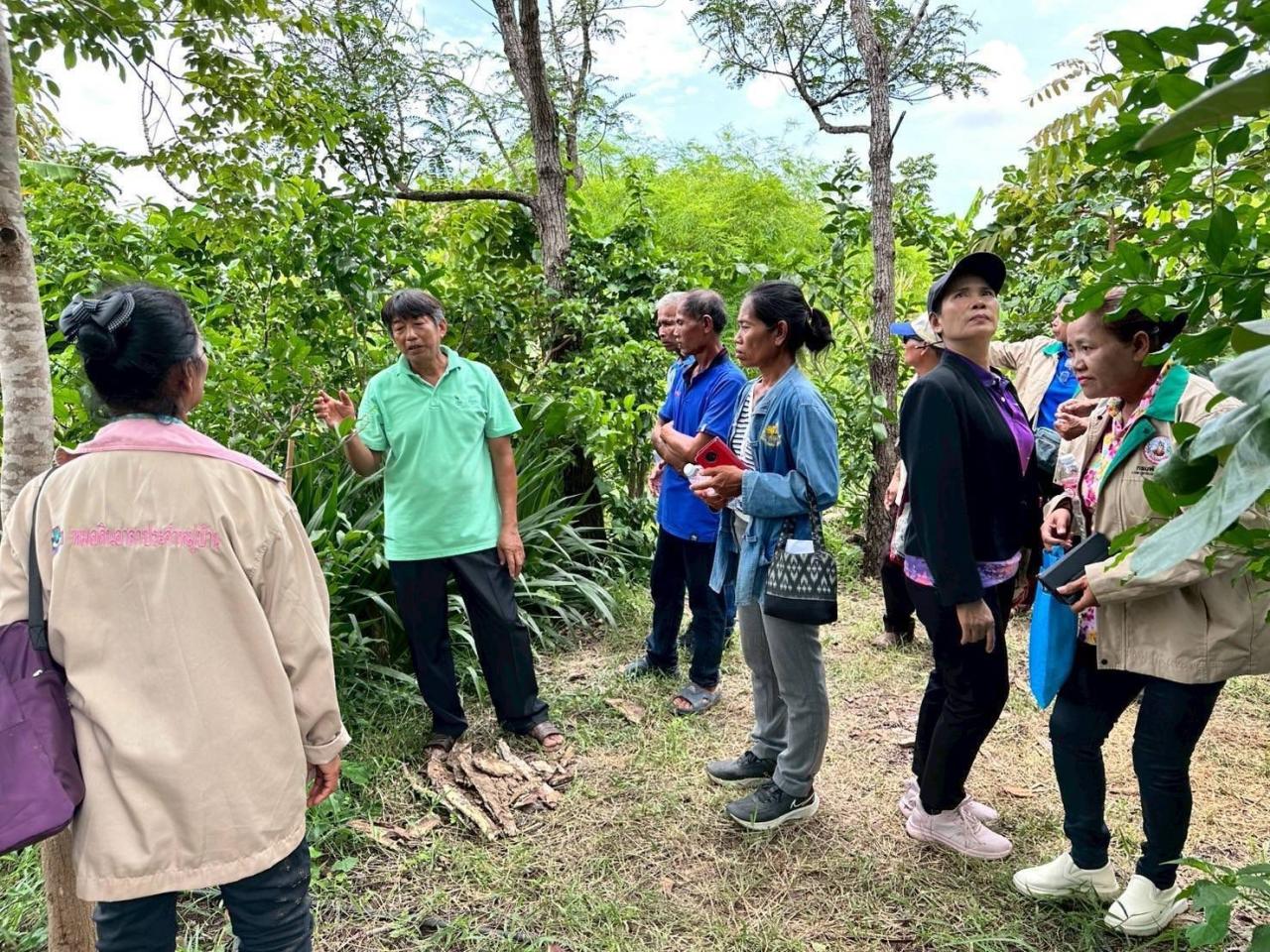 ภาพประกอบที่ 3