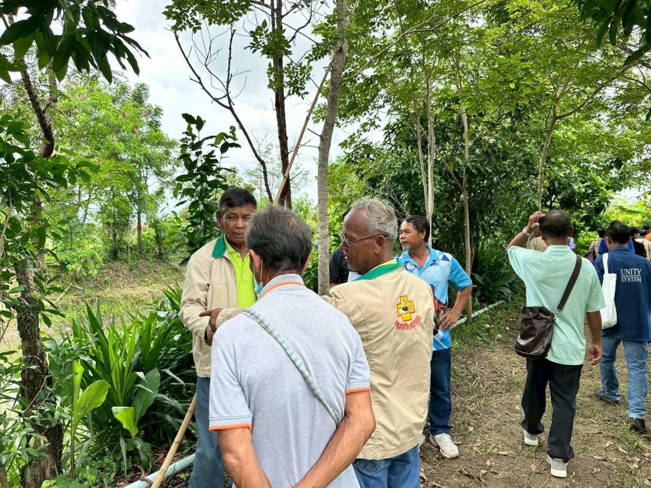 ภาพประกอบที่ 8