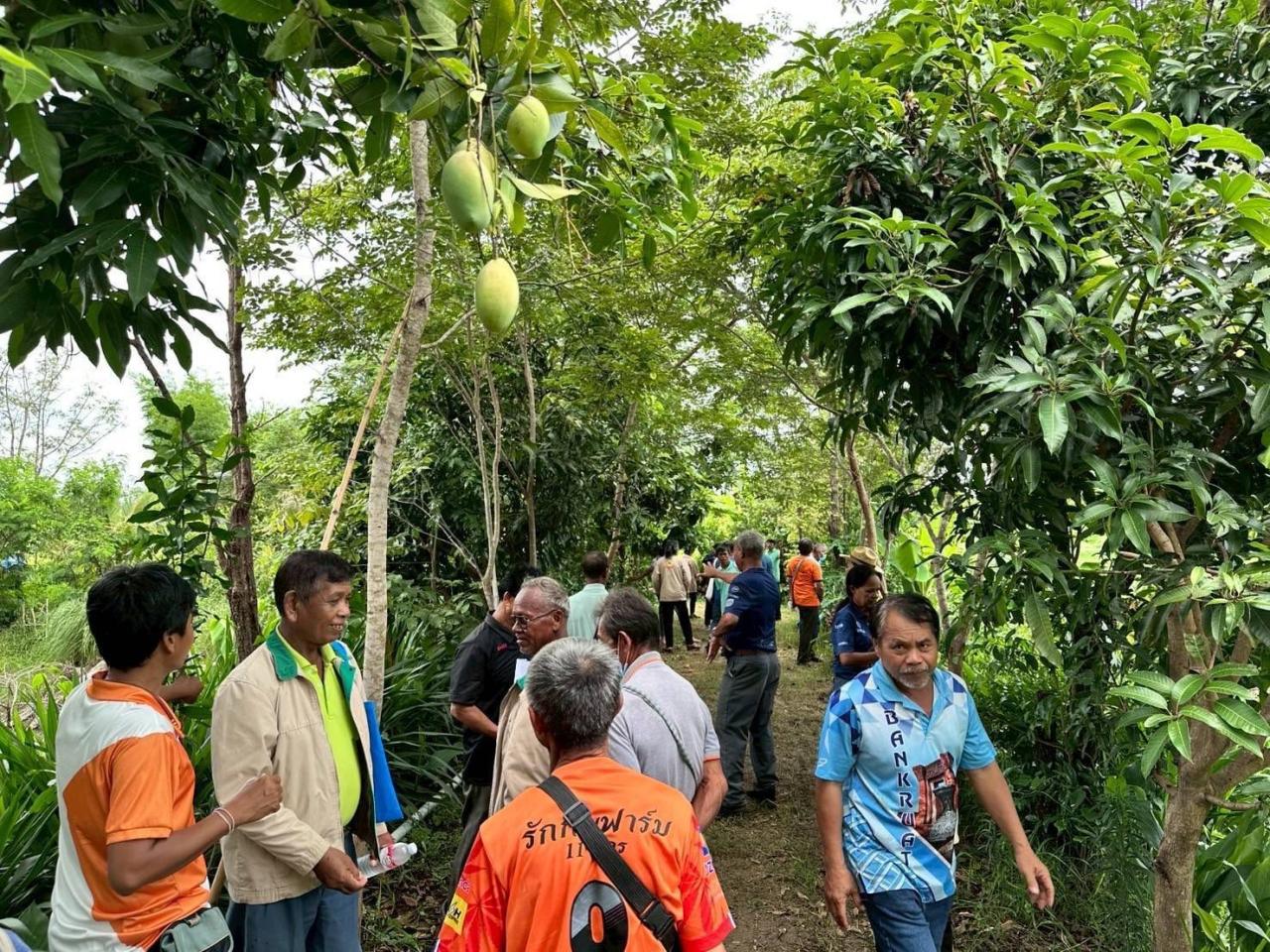 ภาพประกอบที่ 11