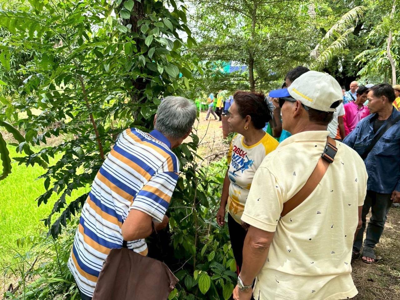 ภาพประกอบที่ 12